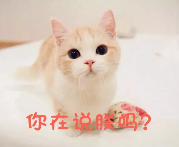 客服外包